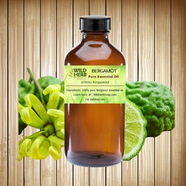 Wild Herb Bergamot Pure Essential Oil (8 OZ)