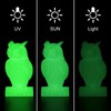 Glow PLA 3D Printer Filament 1.75mm ±0.03mm 2.2lbs - Glow