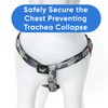 Pawtitas Reflective Dog Harness Adjustable for Sports Activities | Recycle