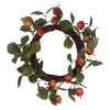 Gisela Graham Apple & Twig Wreath (40cm)