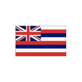 Hawaii Flag