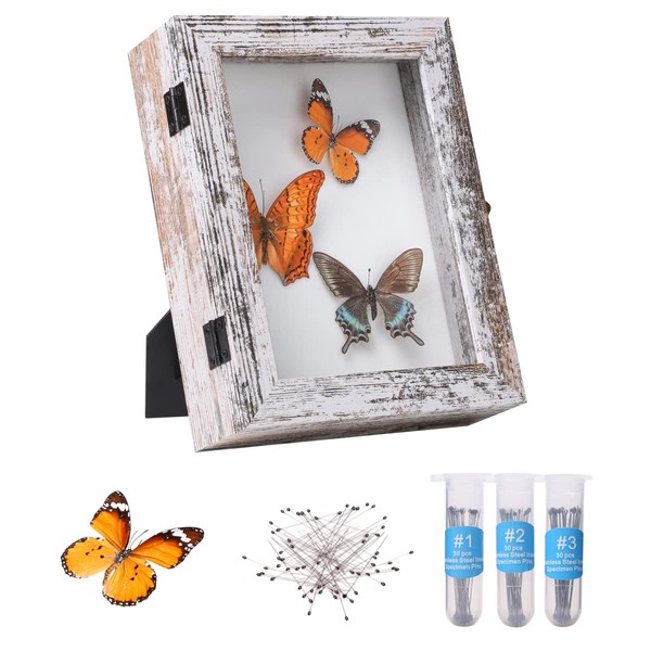 IHEIPYE Insect Display Case Wall Mount Bug Display Case with