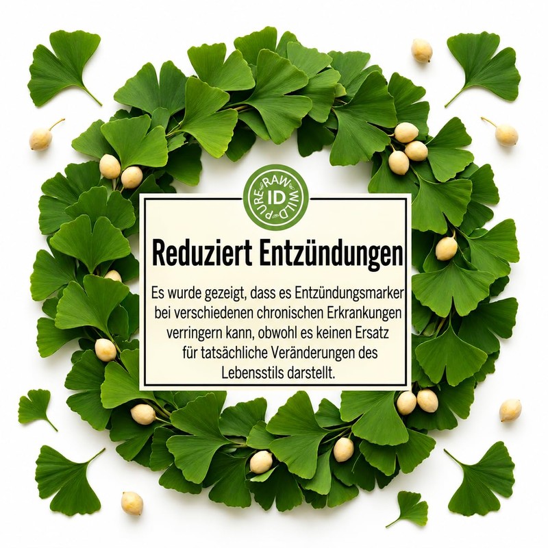 Premium Ginkgo Biloba Leaves 50 g | 100% Pure, Raw,