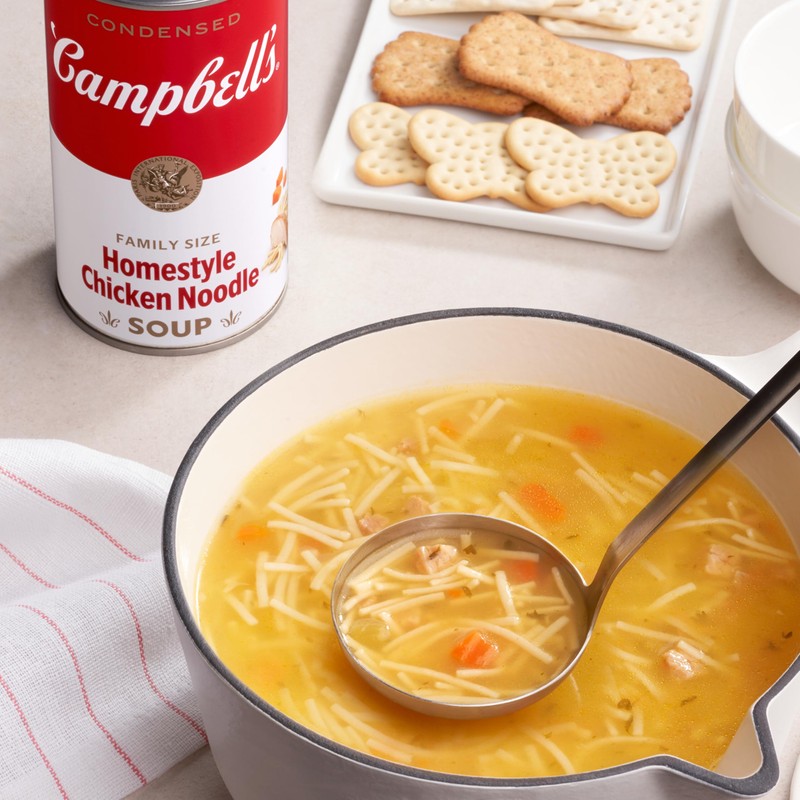Campbell’s Condensed Homestyle Chicken Noodle Soup, 22.2 oz Family Size
