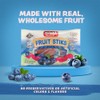 Shefa Blueberry Flavor Real Fruit Sticks (24 Count) | Dye