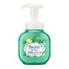 Biore The Hand Foaming Hand Soap, Botanical Herb Scent, Pump