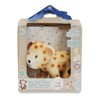 Tikiri Leopard Rubber Teether Rattle & Bath Toy