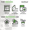 Crawling Insect Killer Dust, 1 lb. | Natural Repellent and