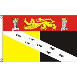 AZ FLAG Norfolk County with arms Flag 3' x 5' - County of Norfolk - England Flags 90 x 150 cm - Banner 3x5 ft