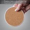 Thirstystone Because of Sister Single Round Absorbent Stone Coaster with