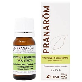 Cypress 0.3 fl oz (10 ml) Pranarom Essential Oil Tree Type Middle Notebook