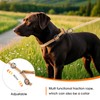 Wolfone Slip Lead Dog Leash - Heavy Duty Rope Leash