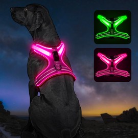 Light Up Dog Harness, Rechargeable Led Dog Harness, Adjustable Lighted Dog Harness, Soft Mesh Dog Lights for Night Walking, Led Safety Vest for Medium Large Dogs