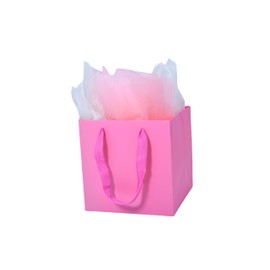 JUNESHE Pink Gift Bags with Handles &Tissue Paper, 2 Pack Pink Paper Bags, 5.9x5.9x5.9 inch Square Gift Bags, Birthday, Wedding Kraft Bags Small Size
