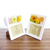 SSP09 Preserved Flowers Photo Frame, Parfait Campagne Gerbera Orange White,