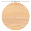 TIKUSAN Wooden Cooking Drop Lid Otoshibuta Made in Japan (6.3")