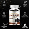 Pslalae- Shilajit Supplement - Supports Brain & Immune Health with