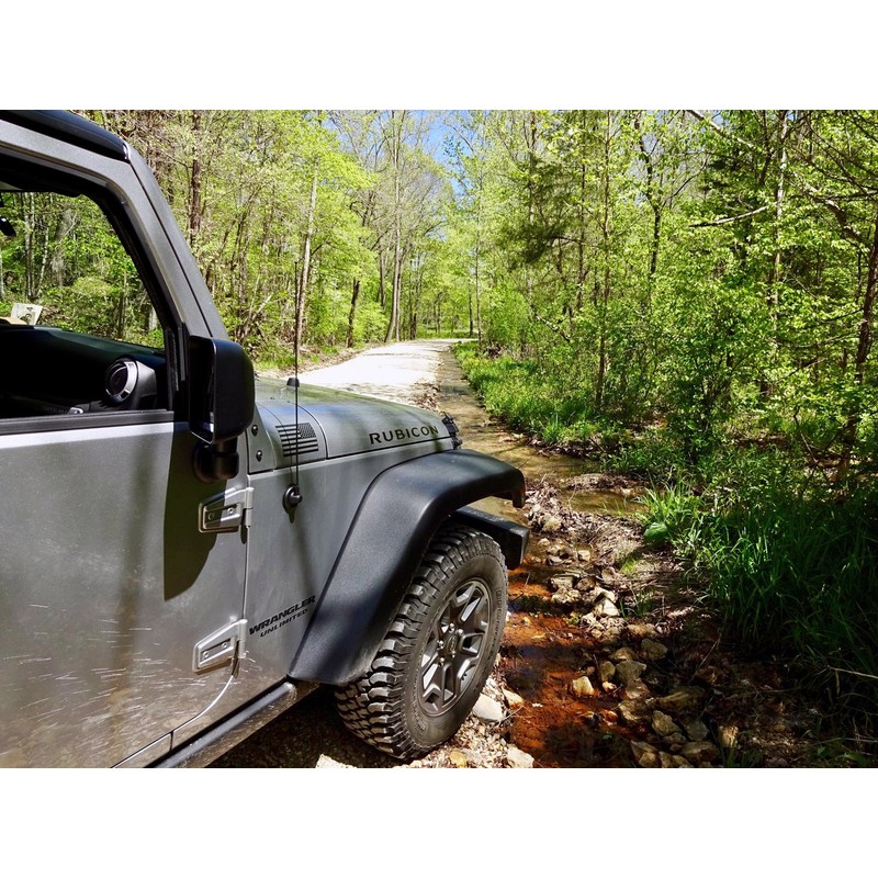 AntennaMastsRus - 21 Inch Black Antenna is Compatible with Ford