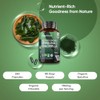 Organic Spirulina and Chlorella Capsules - 80 Days Supply -