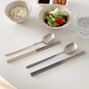 304 Stainless Steel durable Lightweight Korean-style Beautiful Cutlery Spoon and