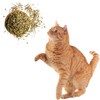 ME GUSTA PET Catnip Stalkless Dried Ground Premium Bulk Bag