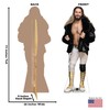 Cardboard People Seth Rollins Life Size Cardboard Cutout Standup -