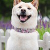 TEEMERRYCA Floral Print Dog Collar with Flower Charm - Durable
