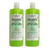 Shampoo Bergamota Florigan 1lt Crecimiento De Cabello Pack2