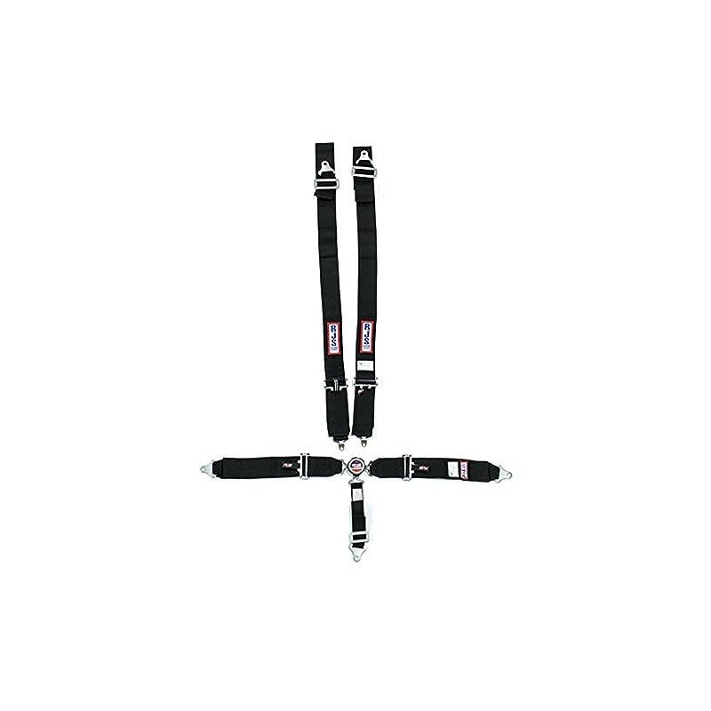 RJS Racing Equipment 1034101 Harness System, Black