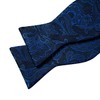 YOHOWA Bow Ties for Men Paisley Self Tie Bowtie Pocket