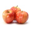 American Plant Exchange Live Gala Apple Tree, Fruit-Bearing Plant Pot