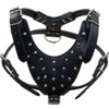 Haoyueer Leather Spiked Studded Medium & Large Dog Collars, Harnesses
