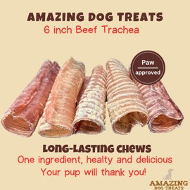 Amazing Dog Treats Amazing Dog Treats - 6 Inch Beef Trachea Dog Chews (20 pcs - 32 oz) - Trachea Dog Treats - NO Hide - Digestible and Safe Chews for Dogs - Glucosamine and Chondroitin for Joint Health for Dogs