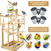 LIMIO Bird Playground - Natural Wood Parrot Playstand with Perches,