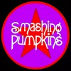 SMASHING PUMPKINS SIX IMAGES EXCLUSIVE BRACELETEARRI
