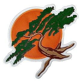 AM0245T21 Karate Do Okinawa Parche bordado para uniformar, kimono, ropa, planchar o coser