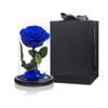 Preserved Roses Royal Blue Roses in Glass Dome, Medium, Preserved