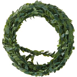 Rayher Hobby Box Tree Garland, 5 m Roll - 5107300