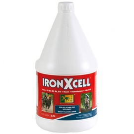 TRM IronXcell Liquid Horse Feed Supplement for Healthy Metabolism and Hindgut | Increased Energy and Performance - 126 fl oz/1 US Gal (3.78 Liter) - 126 fl oz (1 US Gal)