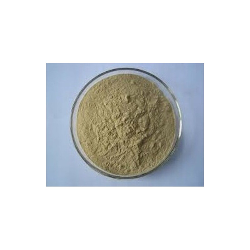 Herbal Power Peel Green Herbal Deep Sea Algae Peel -