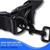 Fabpet Hands Free Dog Lead for Running, Walking and Jogging
