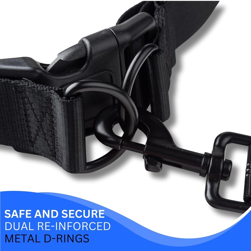 Fabpet Hands Free Dog Lead for Running, Walking and Jogging