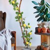 Levemolo Lemon Garland Simulation Rattan Decor Green Leaves Artificial Lemon
