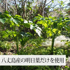 自然健康社 明日葉粉末 100g×3個 サプリ 八丈島産 国産 あしたば茶 無添加 青汁 パウダー