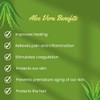 Aloe Vera Cream Premium - Face and Body Moisturiser, 300ml