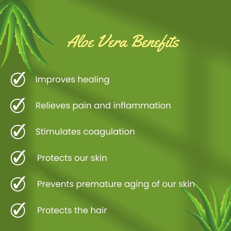 Aloe Vera Cream Premium - Face and Body Moisturiser, 300ml