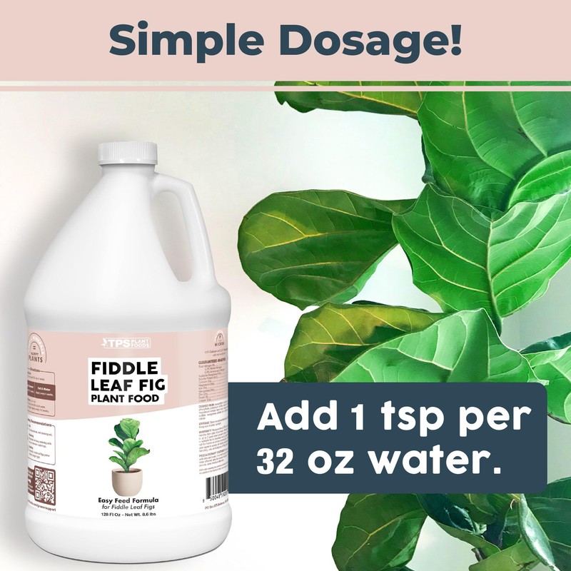 TPS NUTRIENTS Fiddle Leaf Fig Plant Food for All Fig