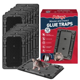 Pelrayt Glue Mouse & Insect Traps Indoor for Home -12 Pack Sticky MouseTraps Indoor for Safe Home Pest Control. Pre-Scented, Non-Toxic Glue Boards for Mice, Mouse & & Insects. Easy to Use
