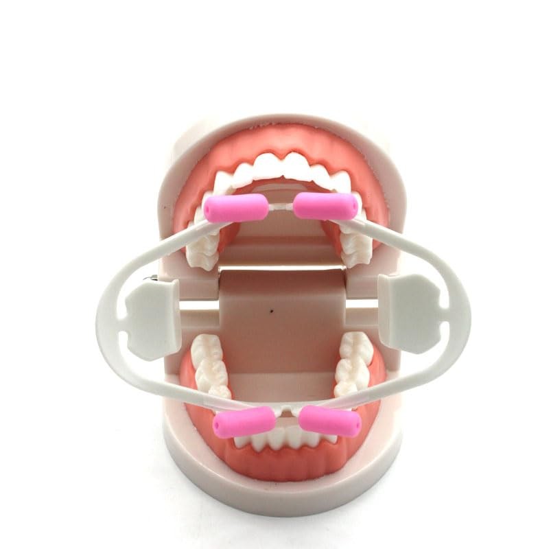 Dental 3D Oral Intraoral Cheek Lip Retractor Orthodontic Mouth Prop
