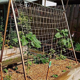 Pea and Bean Biodegradable Natural Jute Netting Heavy Duty 2m x 5m